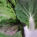 은자골민물횟집 이미지