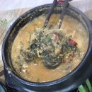 금채장어킹 이미지