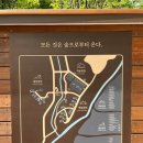 럭키트리하우스 | 서울 첫 자연휴양림, 수락휴 첫 개장 트리하우스에서 1박 후기(곱등이정보)