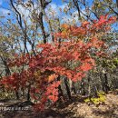 대아주차장 이미지