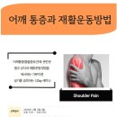 2월9일(일요일) 어깨 통증(충돌증후근) 과 재활운동방법 1Day 세미나 (필수상식이론+재활운동방법실기) 이미지