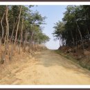 팔공산올레길 2코스 이미지