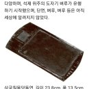 고연 이미지
