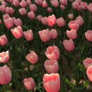 따따PC방 이미지