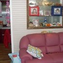 매화초앞 이미지