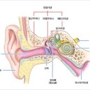 소리와 파동Sound and Waves 이미지