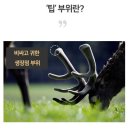 순담록 녹용 진액 30포 추천 후기, 만성 피로 달고 살던 일상에 활력이 돎