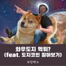 도지 이미지