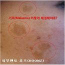 순수테라피 - 광진구 뚝섬로 741 | 순수테라피