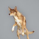 하늘메디칼 이미지