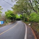 지리산로시난테하우스 이미지