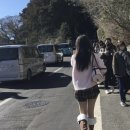 샤프카 | 따뜻하게 겨울나기: 러시아 샤프카 메텔 모자, 쁘띠 머플러 후기