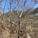 풍경을 요리하는 농부 이미지