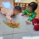 당감복지관 나리어린이집 네이버블로그