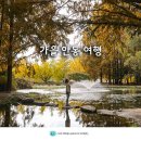 상아동_상아동_마을진입로_012 | 안동 가볼만한곳 낙강물길공원 비밀의숲 안동댐 월영교 문보트 등
