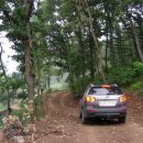 인서농장 이미지