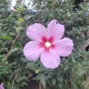 아마골농장 이미지