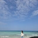 [제주여행] 제주도 푸른 바다와 초록초록 힐링만땅 &#39;까페 한라산&#39; 당근쥬스