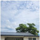 도로시펜션 이미지