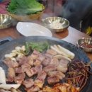 돈박사대패