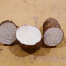 박미향 농장 이미지