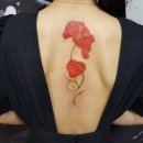 진희슈퍼 이미지