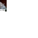 서울면동초등학교 이미지