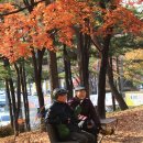 가을 카카오 검색결과