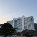 소노벨 타워 B 비발디파크 | 홍천 소노벨 비발디파크 B 스위트룸 숙박 후기 🩶 (+굿앤굿스 삼겹살 후기)