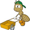 왔다 개미 이미지