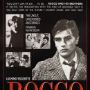 로코(ROCCO) 네이버블로그