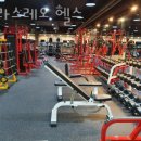 달라스레오 이미지