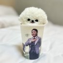 1월셋째주