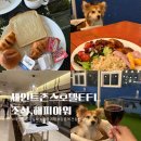해피애견 | 강릉 호캉스 세인트존스 호텔 EFL 패지키 해피아워 &amp; 조식 애견동반 식사 후기