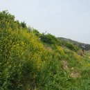 동백나무집 이미지