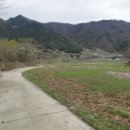 한흥농장 Daum카페