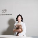 자연동물병원 이미지