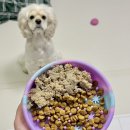 까까 멍 이미지