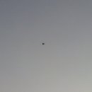 강화섬보리밥 이미지