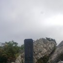 8/16(목)중미산(834m)산행 및 국립중미산자연휴양림 힐링휴식(우산대장) 이미지