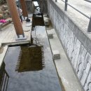 푸른빨래터 이미지