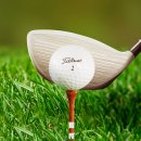 티엘티 바디킹 이미지