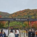 럭키관광(주) 이미지
