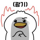 네비천국