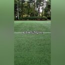 운중체육공원1 이미지