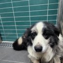 상리2길 이미지