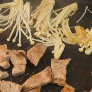 퍼피랜드 이미지