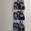 안지콩
