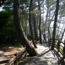 천리포선착장 이미지