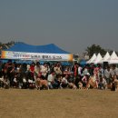 멋진강아지 이미지